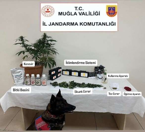 Muğla Jandarması Haziran Ayında Uyuşturucu Tacirlerine Göz Açtırmadı: 113 Olayda 118 Şüpheli Yakalandı 3